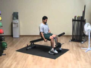 Powerline Leg Extension & Curl Machine