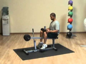 Powerline Seated Calf Raise Machine