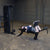 Body-Solid Leg Extension and Curl Bench Attachment