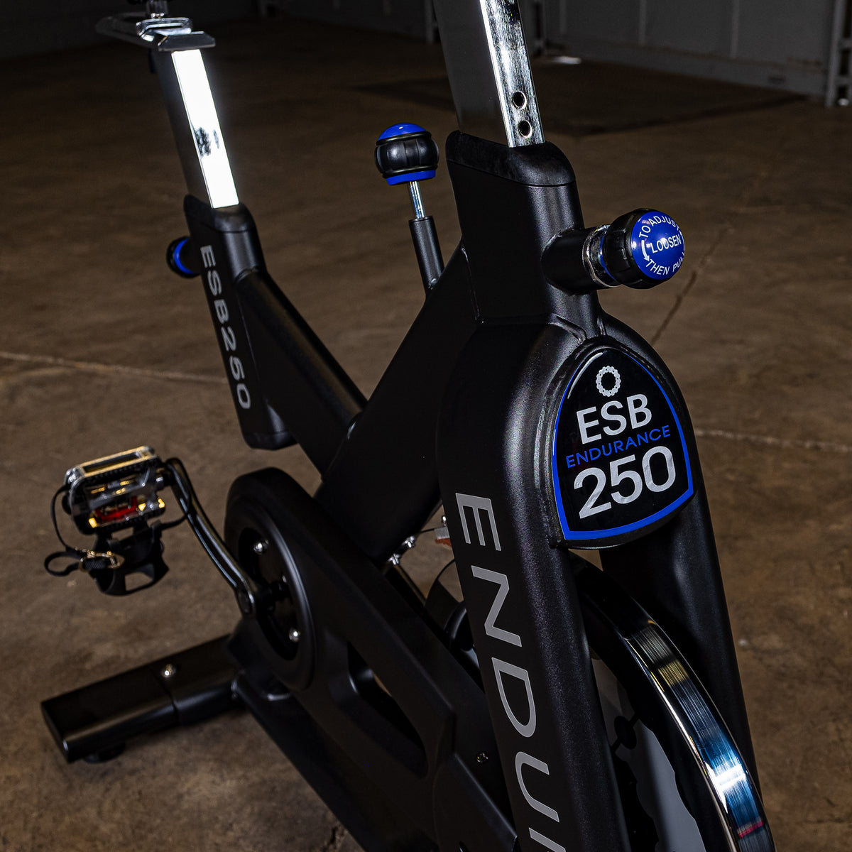 Endurance by Body-Solid Indoor Cycling Bike PRO