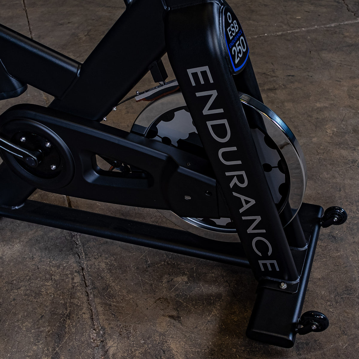 Endurance by Body-Solid Indoor Cycling Bike PRO