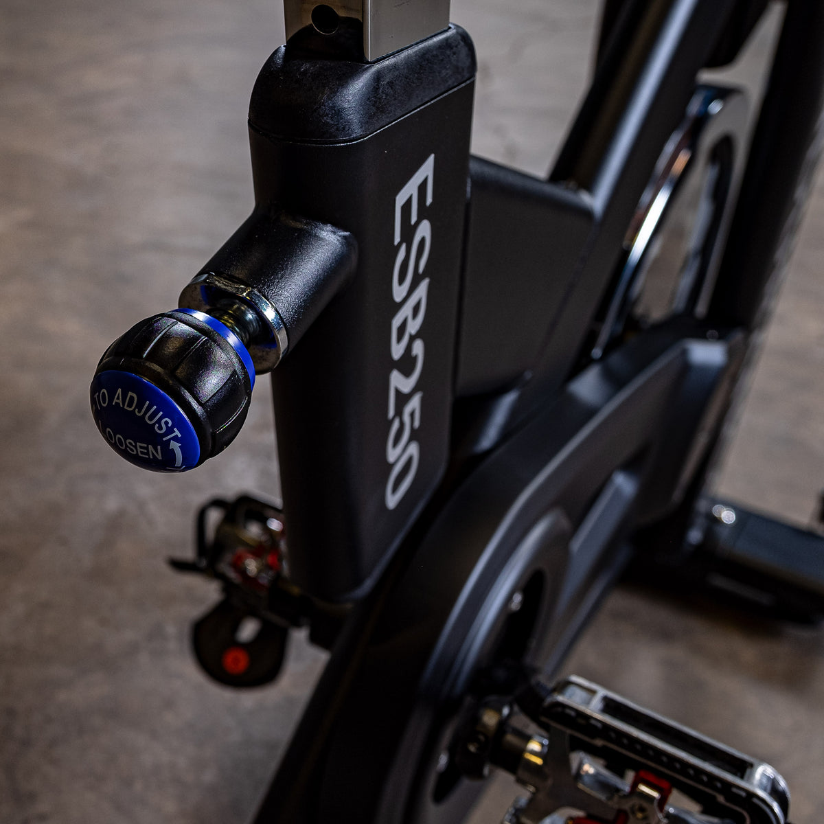 Endurance by Body-Solid Indoor Cycling Bike PRO